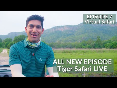 Tracking Leopards | INDIA’S FIRST VIRTUAL SAFARI - EP7 | TIGER SAFARI LIVE | BANDHAVGARH