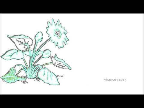 Robert Babicz - Ange Solitaire (Lutzenkirchen Dub Mix) TULIPA068