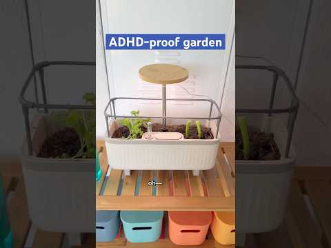 Let’s make an ADHD-proof herb garden 🪴 #herbgarden #balconygarden #ADHD