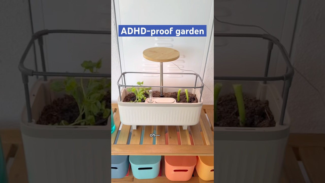 Let’s make an ADHD-proof herb garden 🪴 #herbgarden #balconygarden #ADHD