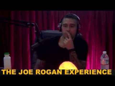 Joe Rogan Experience #356 - Dan Hardy