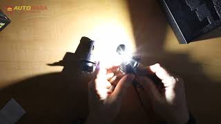 Solar H4 12/24V 30W 3000Lm 6500K CSP3570 8404S2 - відео 1