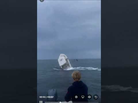 Killer whales intentionally sink a boat #whale #ocean #boat #scary #boatsinking #orcas #orca