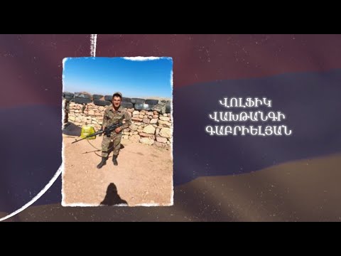 Ձեզ բացակա չենք դնի․ Վոլֆիկ  Գաբրիելյան