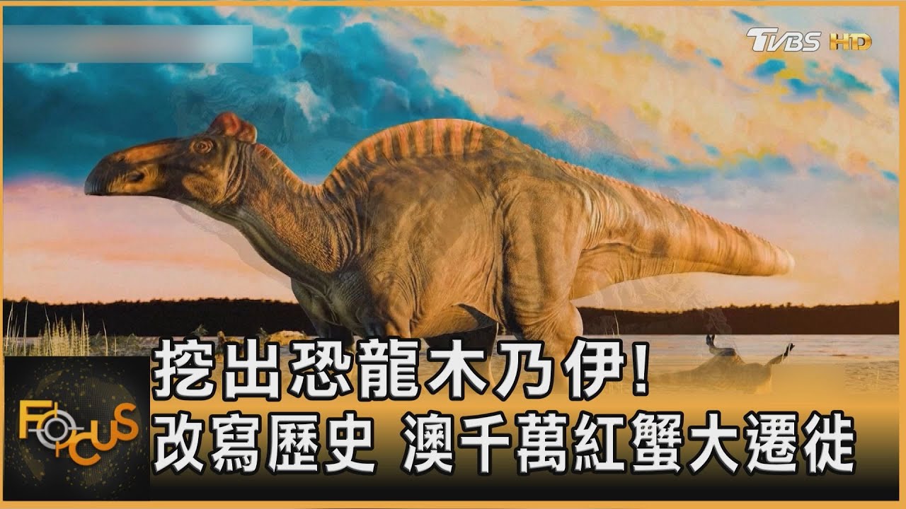 美挖出恐龍木乃伊!改寫歷史 澳洲千萬紅蟹大遷徙