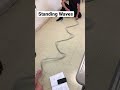 Standing Waves #physics