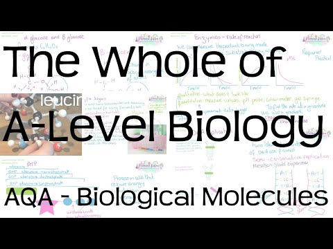 The Whole of AQA A-Level Biology | Biological Molecules | Revision