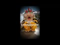 Bowser Botarga