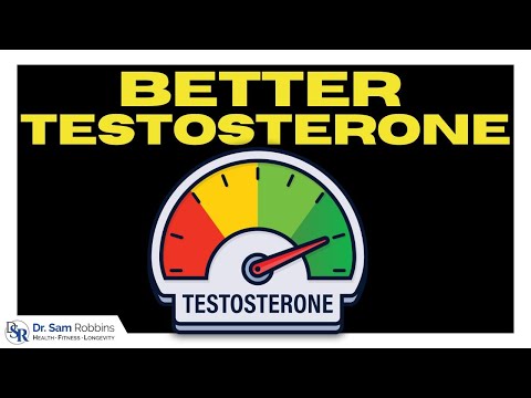Make Testosterone Work Better - Androgen Receptor Sensitivity & Density