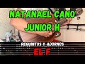 TABS El F Natanael Cano Junior H Tutorial REQUINTOS ADORNOS Guitarra