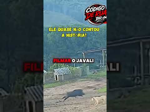O susto foi grande em Ponte Alta (SC)! Você encarava ou corria? #shorts