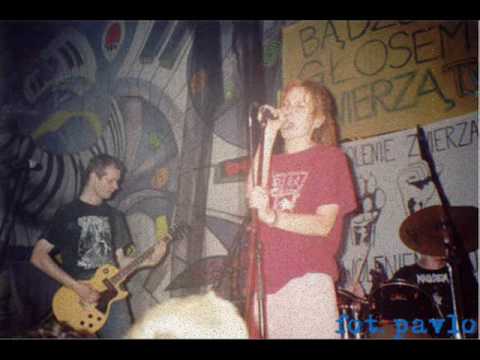 Post Regiment - Anioł