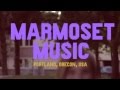 Marmoset Music Intro Video