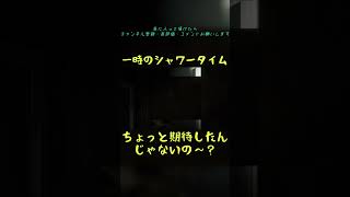 一時のシャワータイム　#BeastofReincarnation　#クゥ　#シャワー #shorts