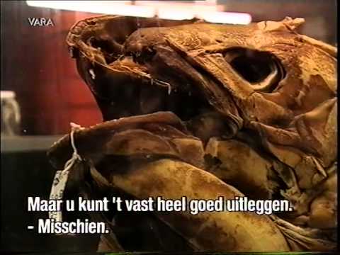 134 (1998) De wereld van Boudewijn Buch - De Coelacanth