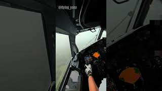 Go around due to tailwind #aviation #landing #boeing #b737 #cockpit #shorts