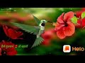 Download Is Gulshan To Baharon Ki Khila Karte Hain Ringtone Superhit Mp3 Song
