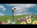 Understand The Voice Trumpet