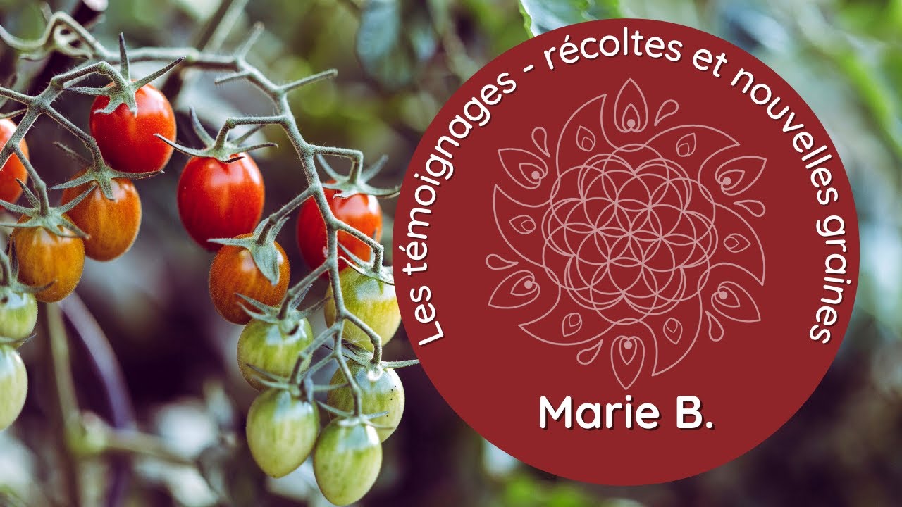 "Un tournant dans ma vie ET dans mon business" - Marie B