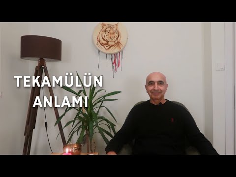 Tekâmülün anlamı.... I Hürriyet Kalalı