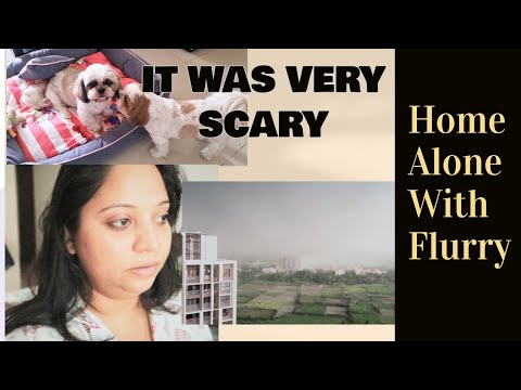 Caught in a massive thunderstorm along with my puppies | Scary time alone Video