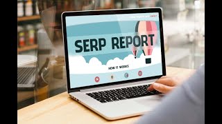 How to use the SERP checker