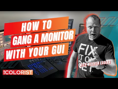 DaVinci Resolve 'Zoom your grading monitor by adjusting your GUI display'