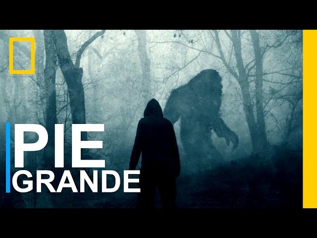 Youtube Imagen