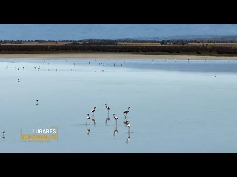 LUGARES IMPERDIBLES: PAISAJE DE POCHO🦩