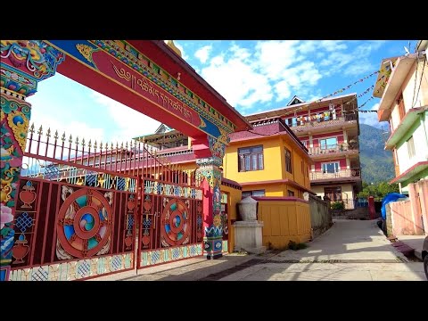 Walking in Norbulingka (Tibetan Colony) Dharamshala // Himachal Pradesh 4K India