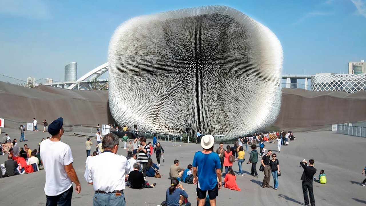 Incredible Moments Caught on Camera