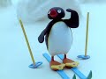 Aaf Pingu S03e01 Pingu Goes Cross Country Skiing Dvdrip Xvid