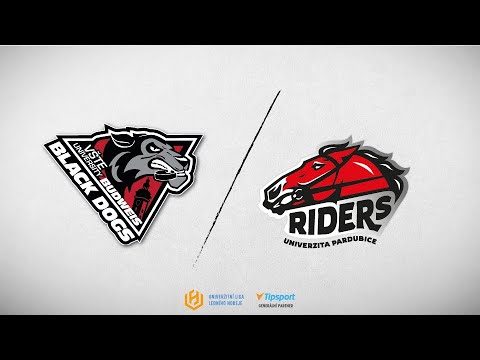 Sestřih: Black Dogs Budweis - Riders Univerzita Pardubice 13:2