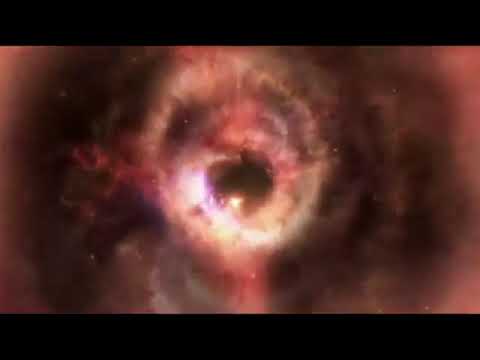 Into the Forest [Soundtrack from Bridge to Terabithia]