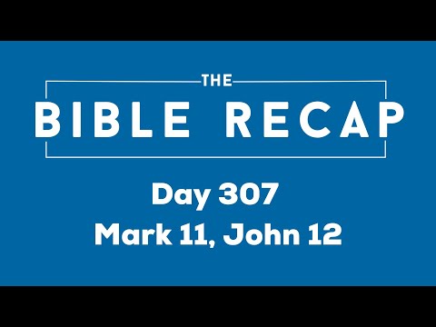 Day 307 (Mark 11, John 12)