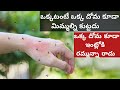 5 ని ల్లో ఇంట్లోఉన్న దోమలన్నీ పారిపోత�