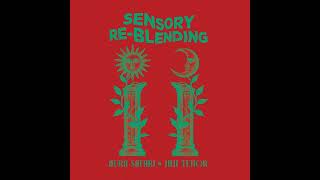 Aura Safari ft Jimi Tenor - Bewitched By The Sea (Willie Graff Remix) video