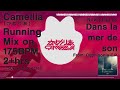 Camellia(かめりあ) 2hrs+ 175BPM mix [250ksub special]