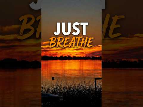 Take 10 Seconds For Yourself… 🌅 #shorts