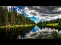 Voice in the Wilderness - David Nevue