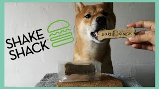 Shake Shack serve Dog Cookies || ASMR Shake Shack || Hero the Shiba inu