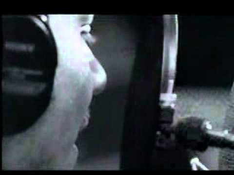 Jeff Tweedy, Billy Bragg & Wilco, Corey Harris - When the Roses Bloom Again