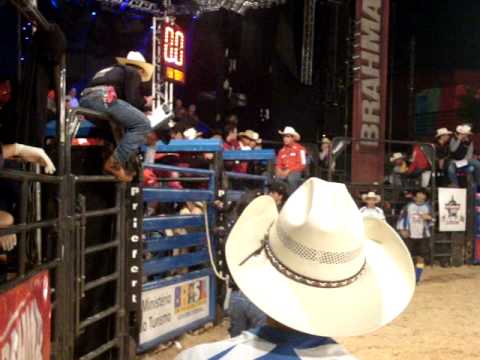 Edgard Lazaro x Branca de Neve Cia Paulo Emilio