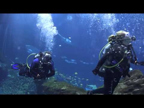 Georgia Aquarium 2016-02-27