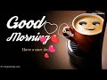 Good Morning Video Good Morning Song Good Morning Good Morning Status Good Morning Whatsapp