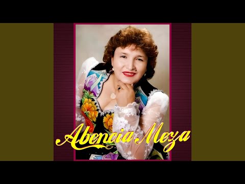 Chico Mentiroso / Amor Herido / Hospital De Amores