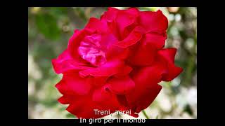 QUANTE VOLTE TI HO CERCATA ANDREA BOCELLI