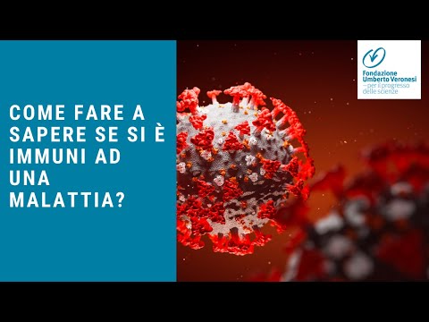 Chilocaloria o sangue su un verme Come applicare targhe da vermi al bambino