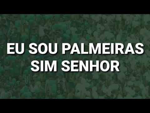 Eu sou Palmeiras sim senhor 💚♥💚♥💚♥
