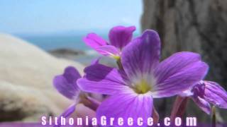 preview picture of video 'Sarti Sithonia Halkidiki Beach Paradise - Orange Beach Sarti Beach - Sithonia Greece'